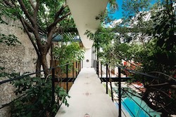 Table Full of Spices