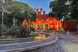 Table Full of Spices