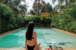 Table Full of Spices