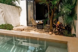 Table Full of Spices