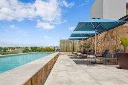 Table Full of Spices