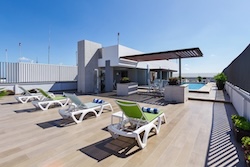 Table Full of Spices