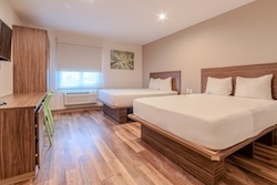 Table Full of Spices