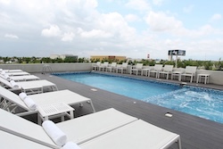 Table Full of Spices
