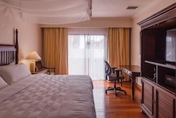 Table Full of Spices