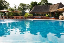 Table Full of Spices