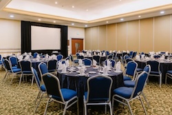 Table Full of Spices
